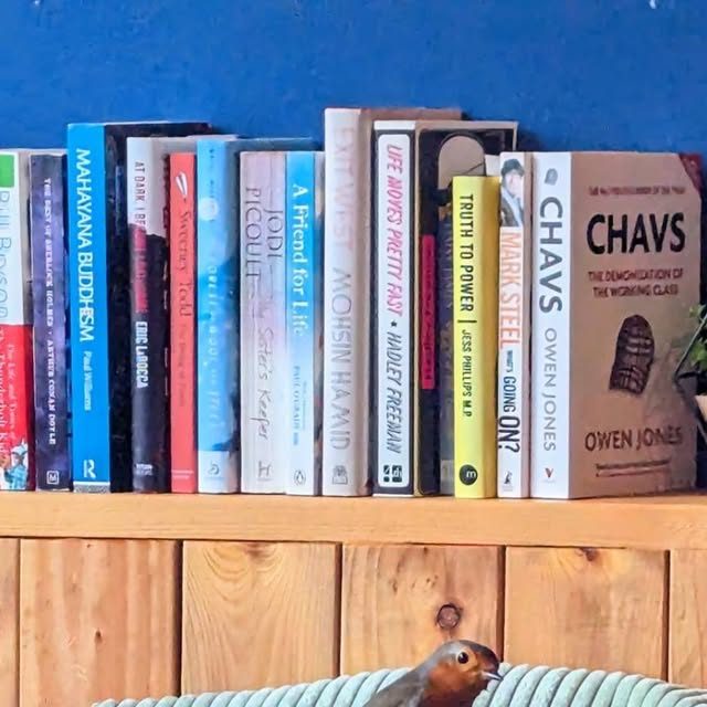 A robin perched on a chair under the pub bookshelf